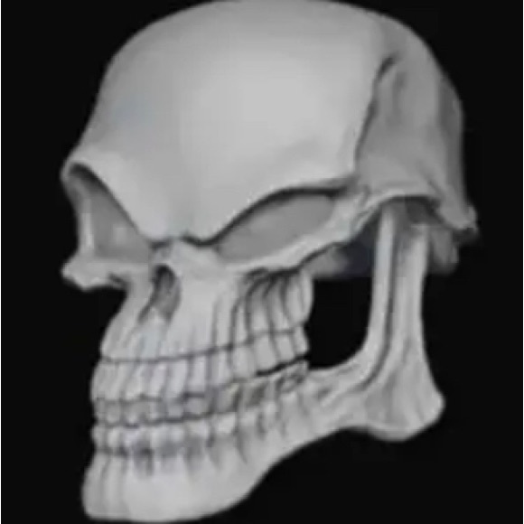 Meet your Posher, Bobby - Picture 1 of 1